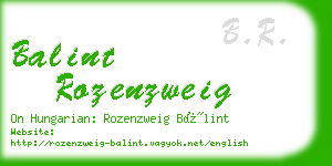 balint rozenzweig business card